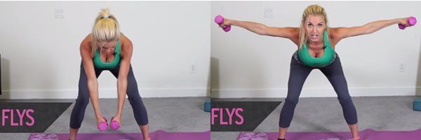 ท่า Reverse Flys