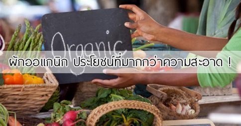 13 ประโยชน์ของผักออแกนิก ! (Organic)