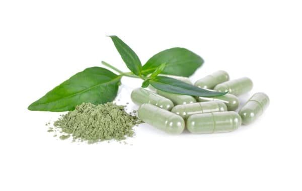 ฟ้าทะลายโจรต้านโควิด-19