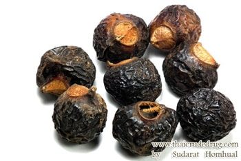 มะคําดีควาย สรรพคุณและประโยชน์ของต้นมะคำดีควาย 28 ข้อ !