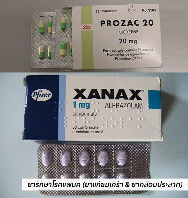 ยารักษาโรคแพนิค