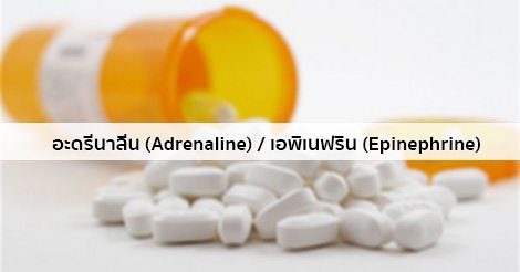อะดรีนาลีน (Adrenaline) / เอพิเนฟริน (Epinephrine) สรรพคุณ วิธีใช้ ฯลฯ