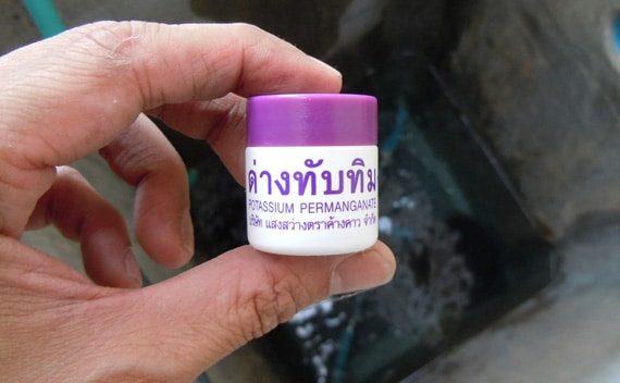 รูปด่างทับทิม
