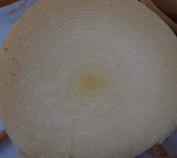 เนื้อในของหัวว่านแร้งคอดำ