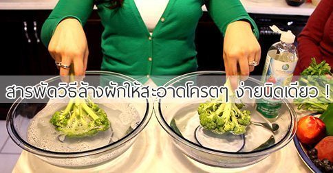 การล้างผักผลไม้ : วิธีล้างผักให้สะอาด 16 วิธี !