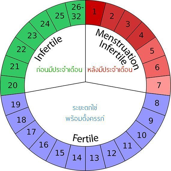 หน้า7หลัง7คืออะไร