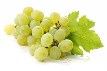 องุ่น สรรพคุณและประโยชน์ขององุ่น 40 ข้อ ! (Grape)