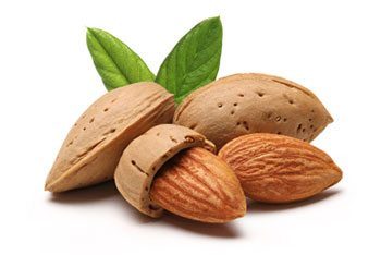 21 สรรพคุณและประโยชน์ของอัลมอนด์ ! (Almond)