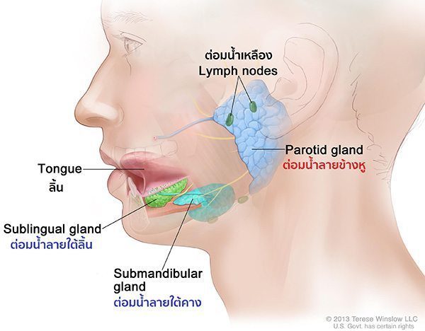 อาการคางทูม