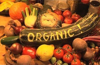 15 ประโยชน์ของอาหารออแกนิค ! (Oranic Food)