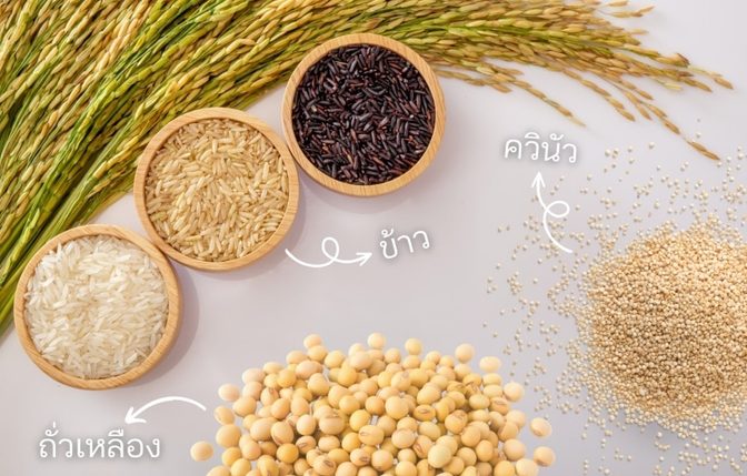 เอนชัวร์-โกลด์-Plant-Based-4.jpg