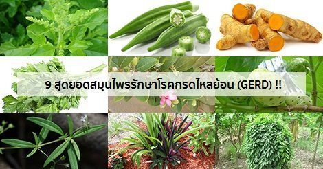 กรดไหลย้อน (GERD) อาการ, สาเหตุ, การรักษาโรคกรดไหลย้อน 25 วิธี !
