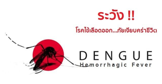 ไข้เลือดออก อาการ สาเหตุ และการรักษาโรคไข้เลือดออก 7 วิธี !!