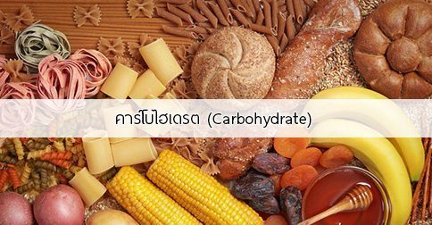 10 ประโยชน์ของคาร์โบไฮเดรต ! (Carbohydrate)