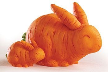 แครอท สรรพคุณและประโยชน์ของแครอท 25 ข้อ ! (Carrot)