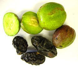 สมอไทย