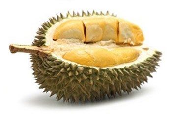 ทุเรียน สรรพคุณและประโยชน์ของทุเรียน 25 ข้อ !