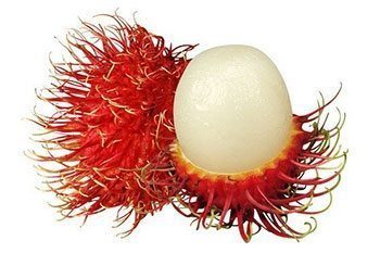 เงาะ สรรพคุณและประโยชน์ของเงาะ 9 ข้อ ! (Rambutan)