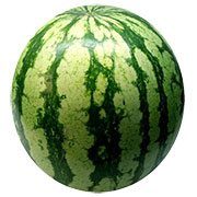 สรรพคุณของแตงโม