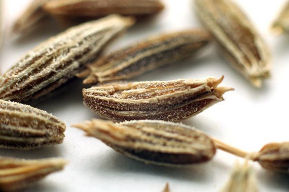 cumin