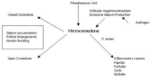 Microcomedone