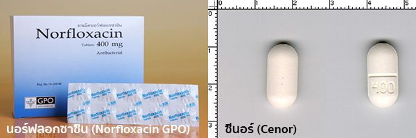 นอร ฟล อกซาซ น Norfloxacin สรรพค ณ ว ธ ใช ผลข างเค ยง ฯลฯ