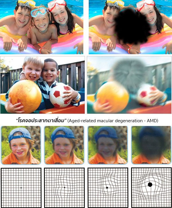 à¸à¸à¸à¸£à¸°à¸ªà¸²à¸à¸à¸²à¹à¸ªà¸·à¹à¸à¸¡