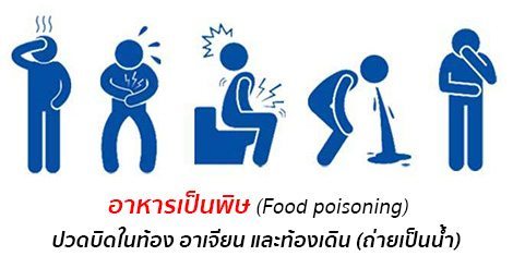 à¸à¸¥à¸à¸²à¸£à¸à¹à¸à¸«à¸²à¸£à¸¹à¸à¸ à¸²à¸à¸ªà¸³à¸«à¸£à¸±à¸ à¸­à¸²à¸«à¸²à¸£à¹à¸à¹à¸à¸à¸´à¸©