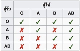 à¸à¸§à¸²à¸¡à¹à¸à¹à¸²à¸à¸±à¸à¹à¸à¹à¸à¸à¸à¸à¸¥à¸²à¸ªà¸¡à¸²
