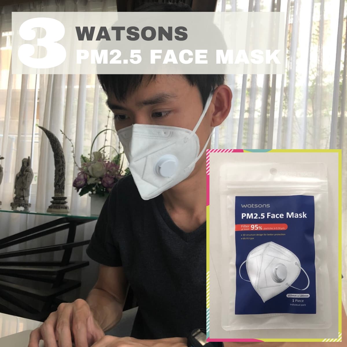 watsons PM2.5 Face Mask