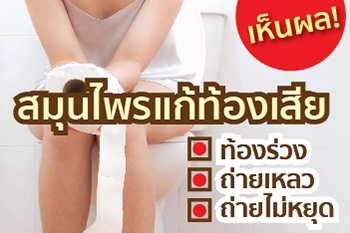 IMAGE SOURCE : Medthai
