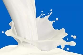 นม ประโยชน์ของนม 25 ข้อ ! วิธีการดื่มนมและการเก็บรักษา