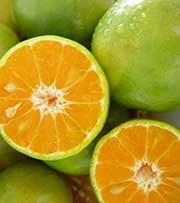 ส้ม สรรพคุณและประโยชน์ของส้ม 25 ข้อ ! (Orange)