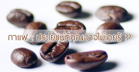 กาแฟ สรรพคุณและประโยชน์ของกาแฟ 40 ข้อ ! (Coffee)