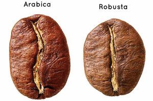 Arabica-Robusta