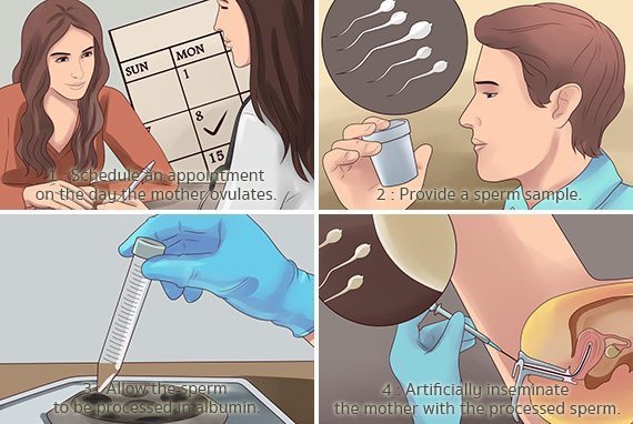 วิธีการเลือกเพศลูก