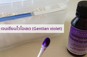 gentian violet