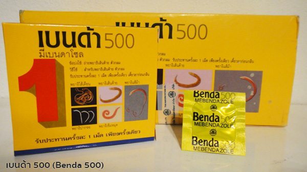 เบนด้า500
