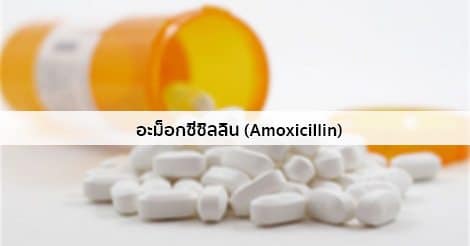 อะม็อกซีซิลลิน (Amoxicillin) สรรพคุณ วิธีใช้ ผลข้างเคียง ฯลฯ