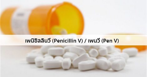 เพนิซิลลินวี / เพนวี (Penicillin V) สรรพคุณ วิธีใช้ ผลข้างเคียง ฯลฯ