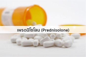 Prednisolone steroids pregnancy