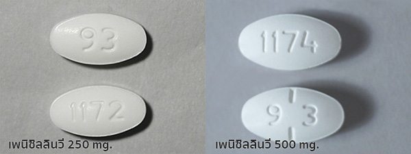เพนิซิลลินวี