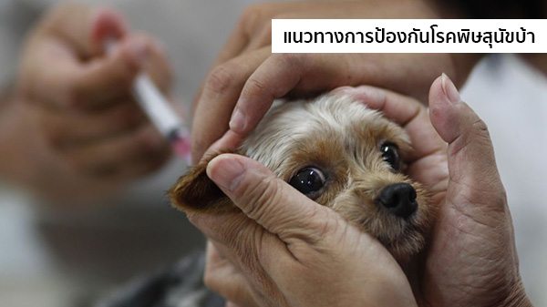 ป้องกันโรคพิษสุนัขบ้า