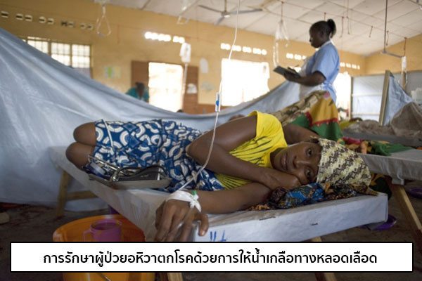 การรักษาอหิวาตกโรค