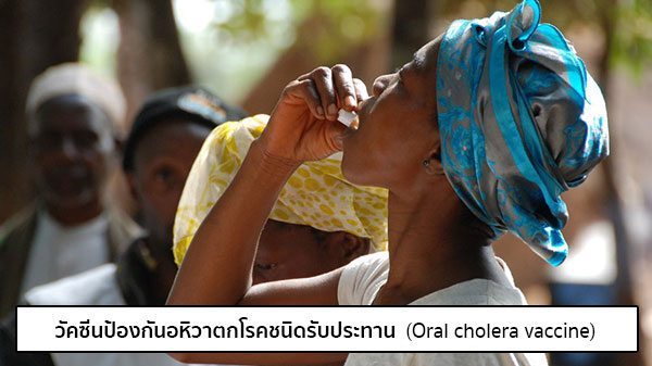 วัคซีนอหิวาตกโรค