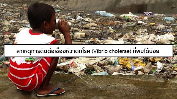 สาเหตุของอหิวาตกโรค
