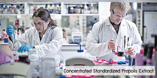 Concentrated Standardized Propolis Extract