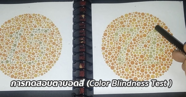 การทดสอบตาบอดสี / การทดสอบการมองเห็นสี (Color Blindness Test)