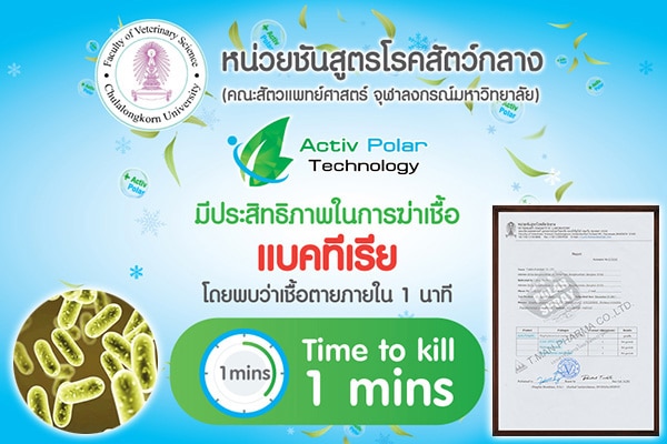 แอคทีฟ โพลาร์