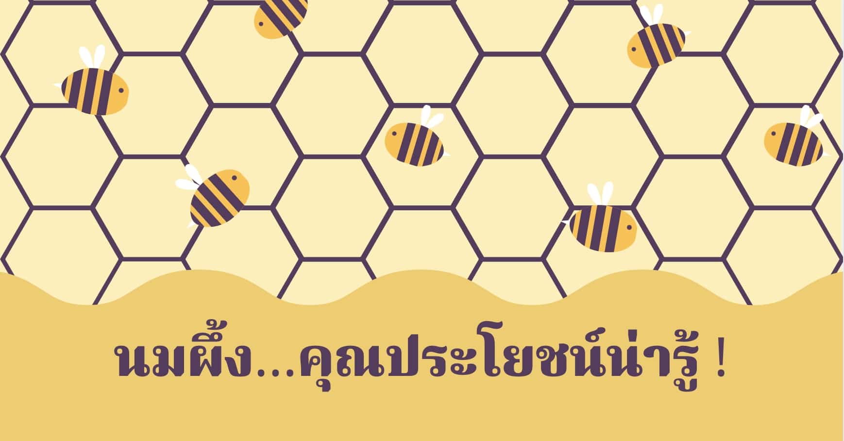 นมผึ้ง (Royal Jelly) สรรพคุณและประโยชน์ของนมผึ้ง 28 ข้อ !